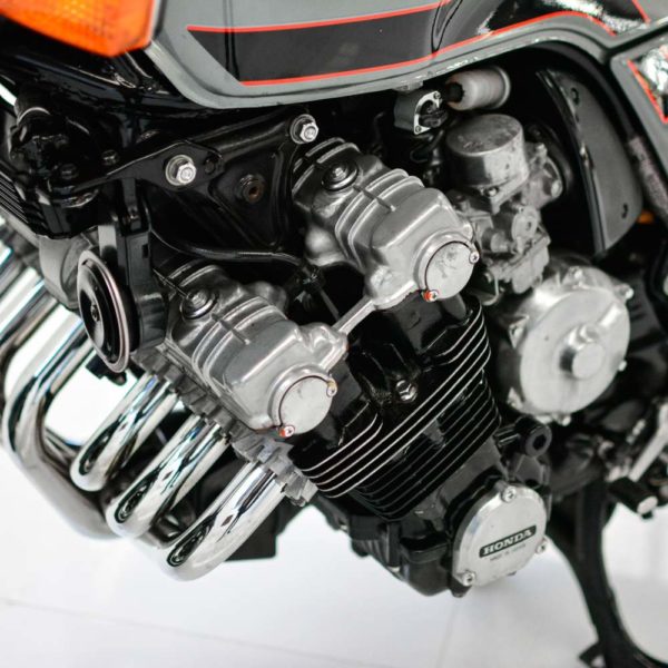 _DSC0482-1_compress23